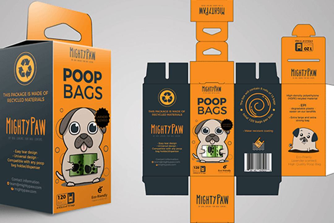 طراحی خلاقانه و تأثیرگذار در بهترین استدیو طراحی گرافیک