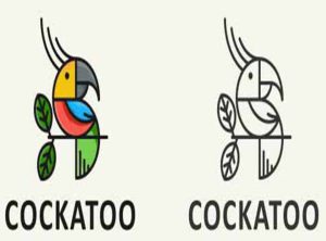 یک-طراح-گرافیک-چه-کار-میکند؟